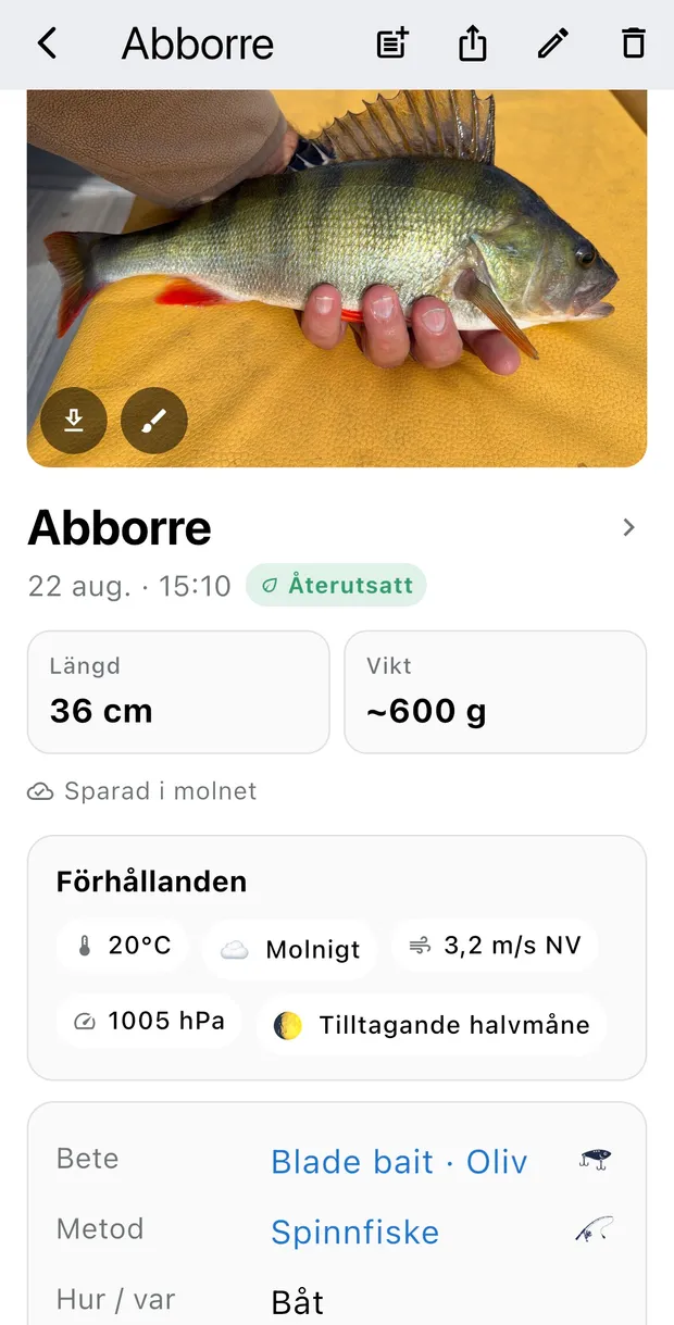 Skärmbild av en sparad fångst med väderförhållanden, bete och metod