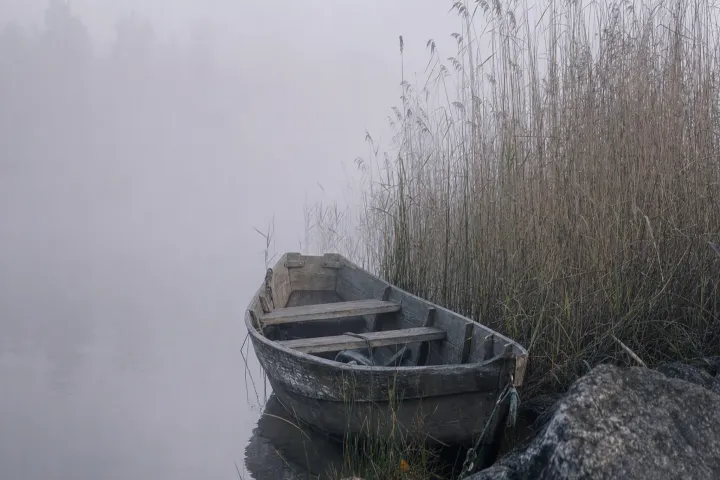 Träeka förtöjd vid vasskanten i dimma