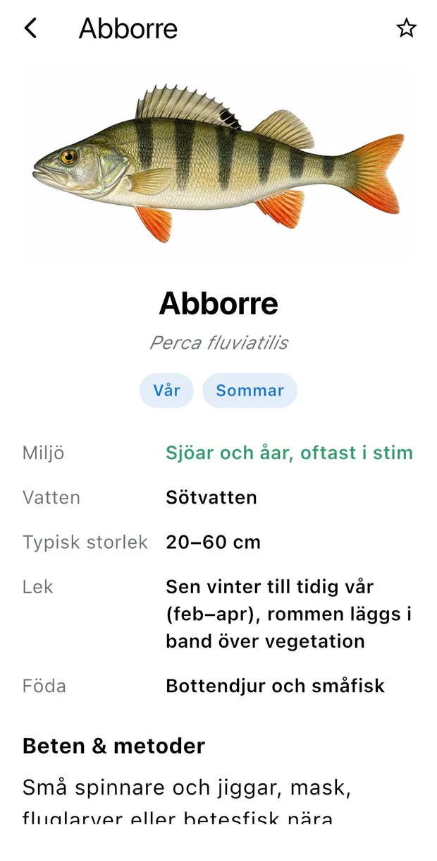 Skärmbild av artsidan för abborre med miljö, typisk storlek, lek och föda